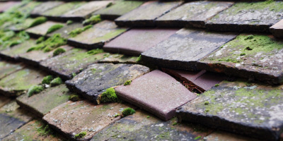 Chew Magna roof repair costs